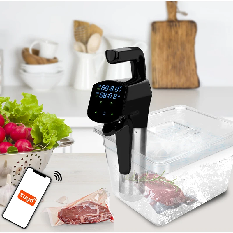 110V/220V Commercial Sous Vide - Home Cooking Machine recension och pris